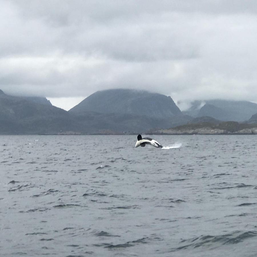 Fishermans Rorbu 3 - Lofoten Ramberg Esterno foto